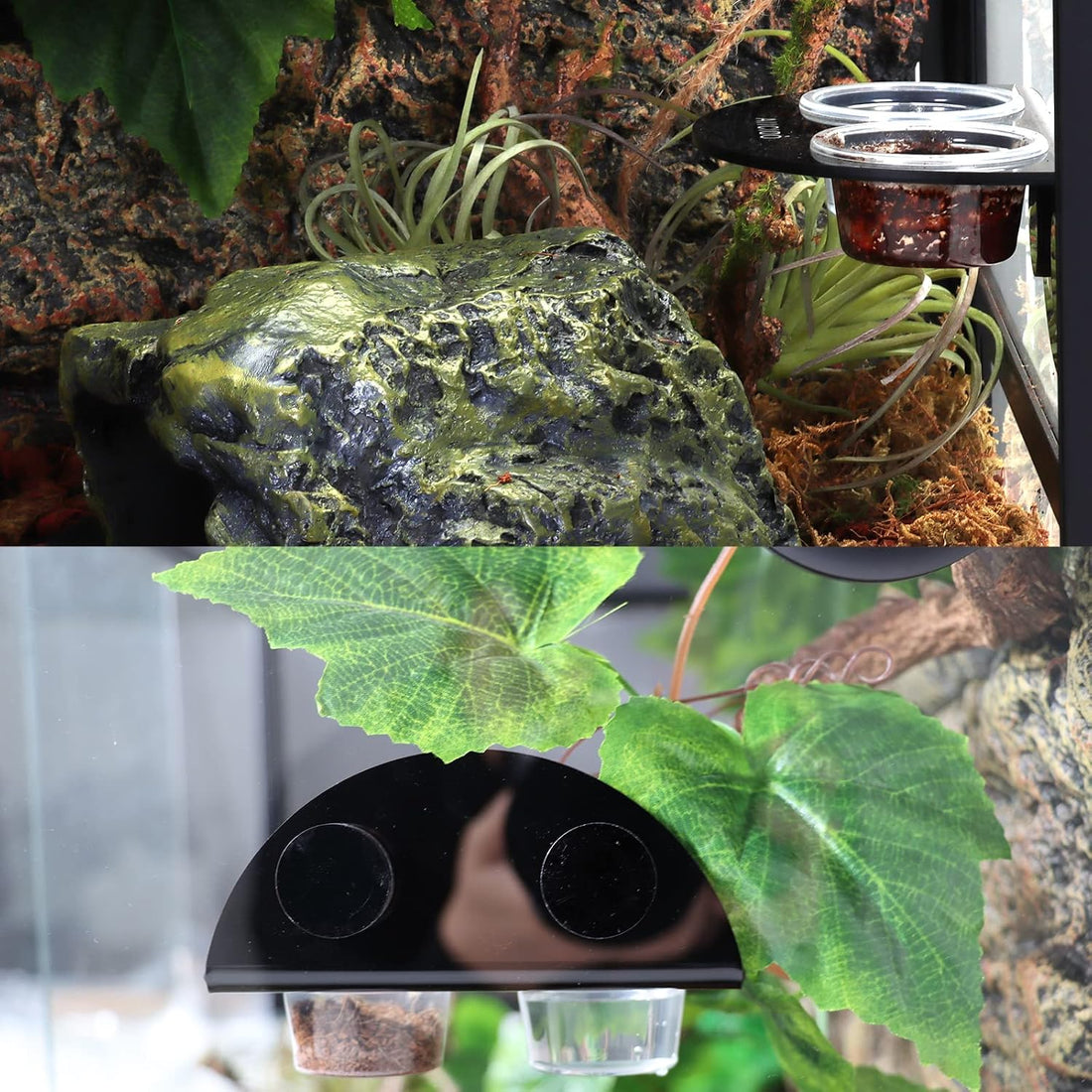 AIICIOO Gecko Feeder Ledge with 6 Pack Plastic Bowls Crested Gecko