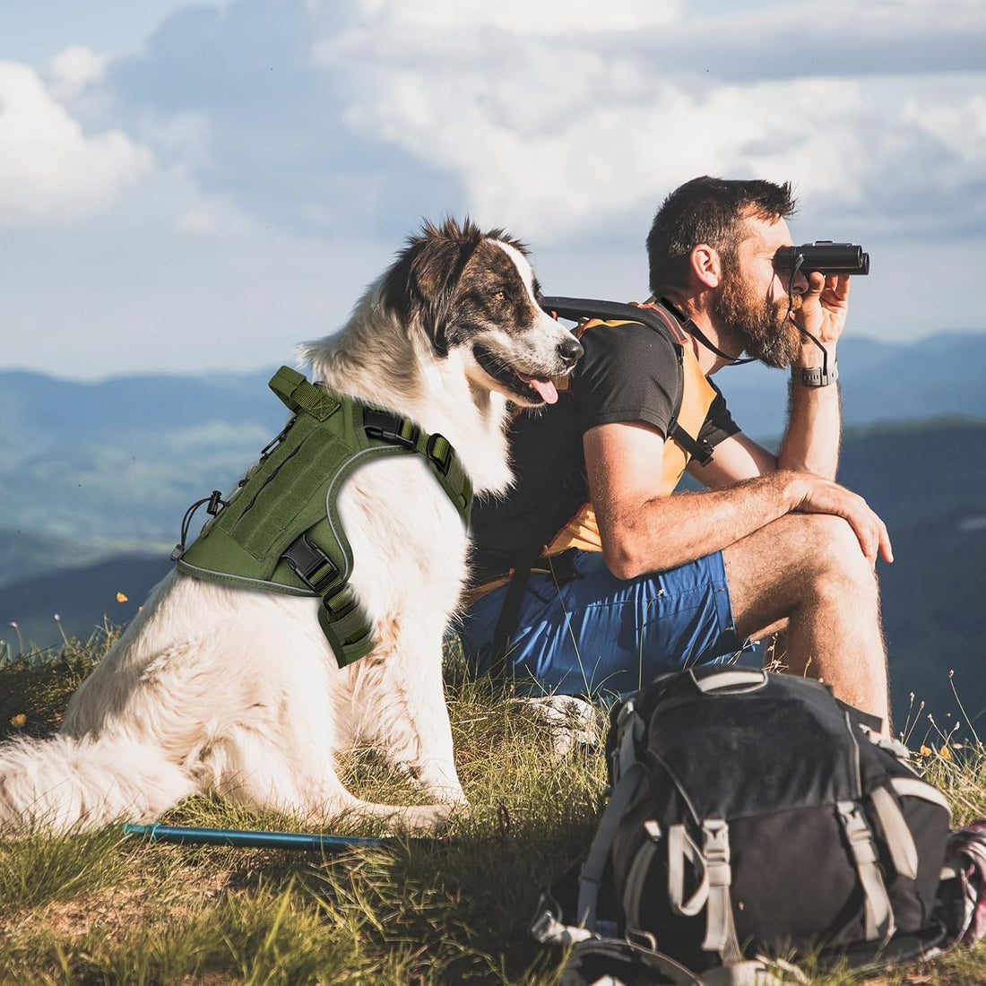 WINGOIN Tactical Dog Harness for Large Dogs