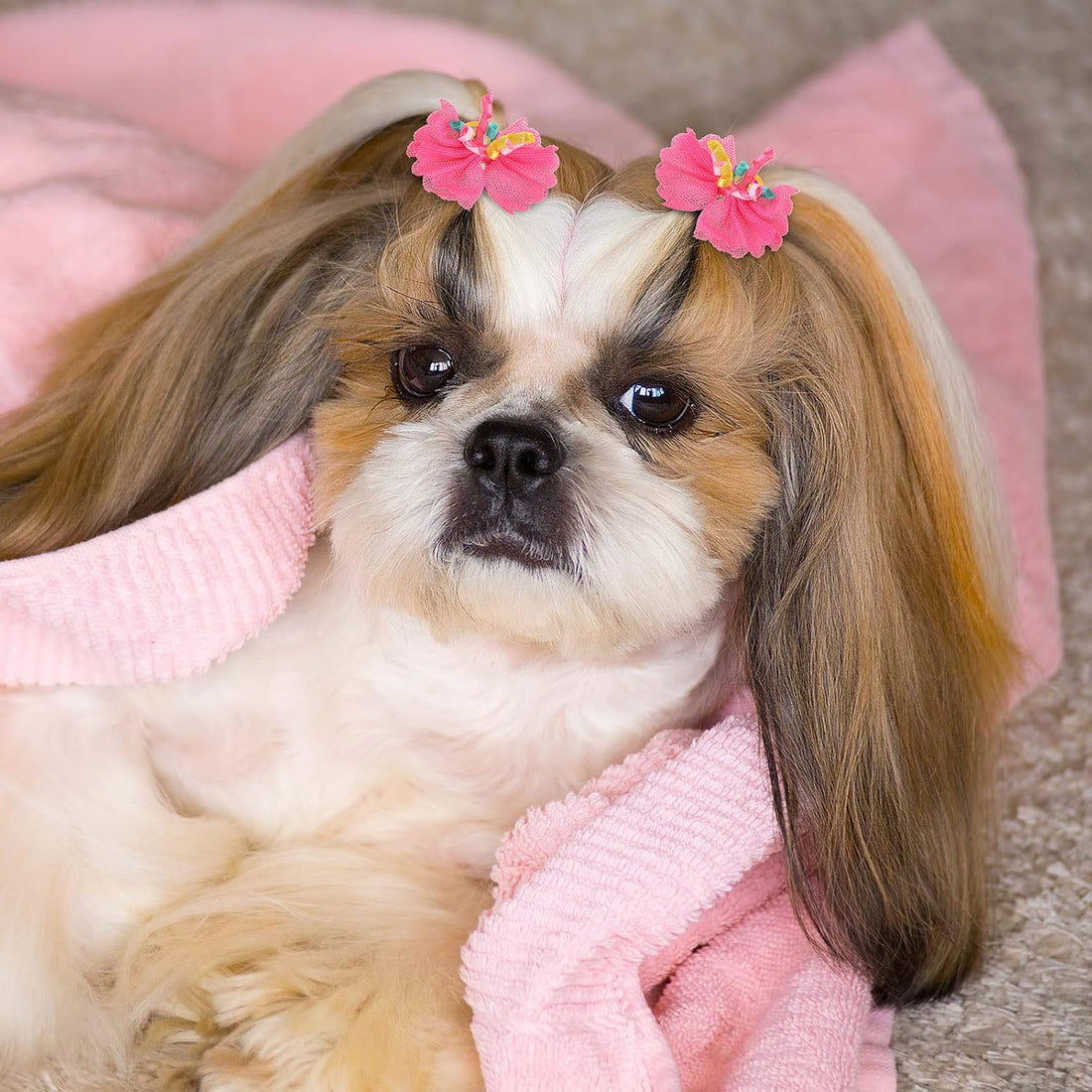Chumia 100 Pcs Dog Hair Bows with Rubber Band for Small Dogs Puppy