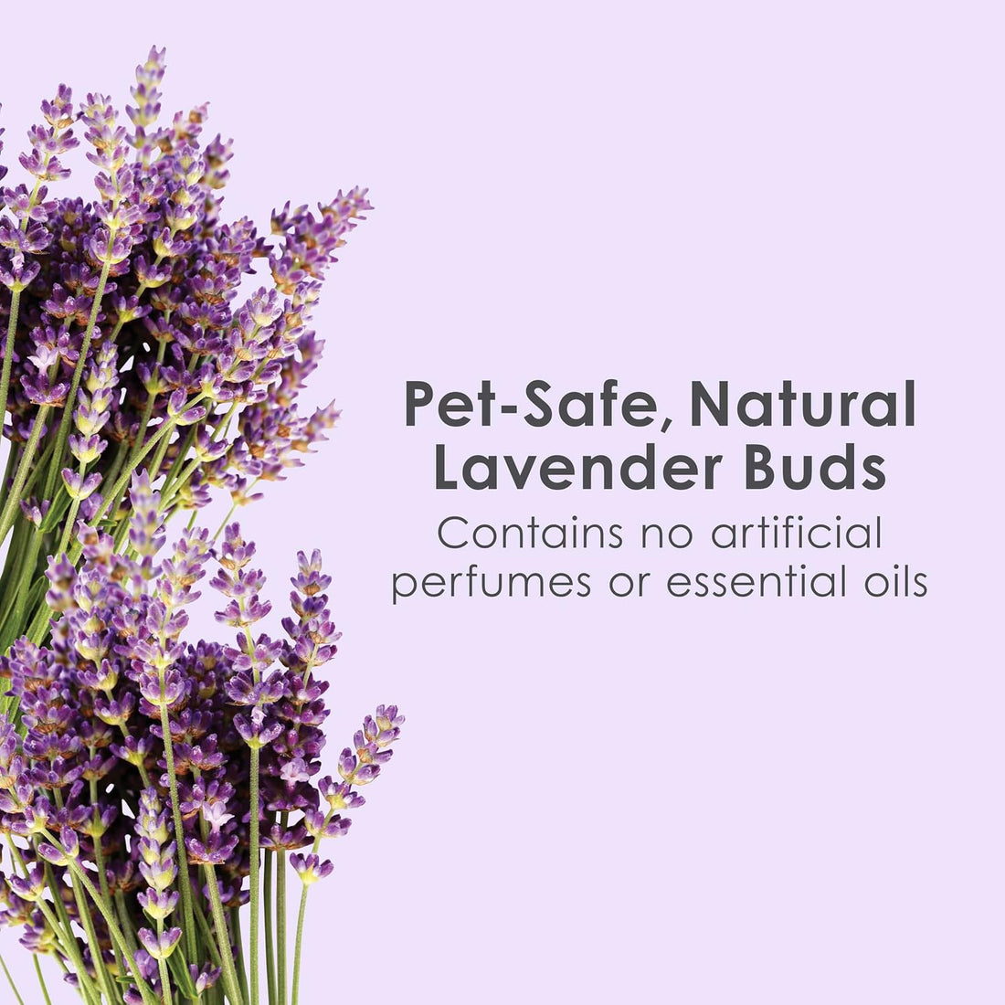 Kaytee Clean & Cozy Lavender Paper Bedding for Guinea Pigs
