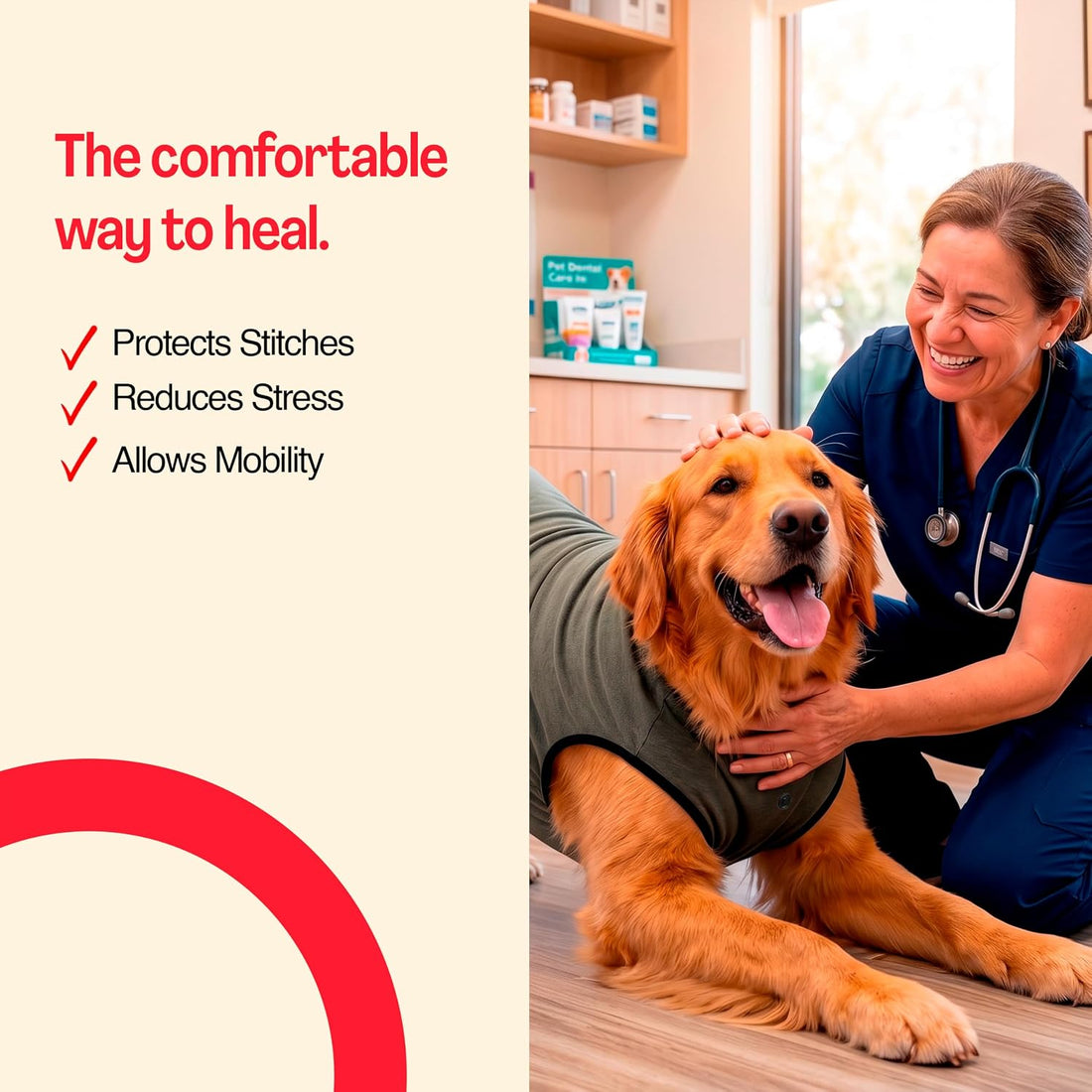BellyGuard Dog Surgery Recovery Suit, Dog Onesie for Post-Op Care