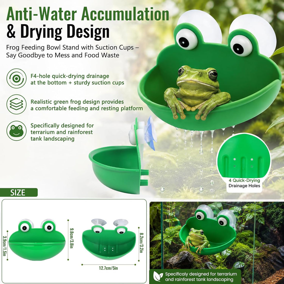 Frog Tank Accessories Set – Complete Tree Frog Habitat Kit