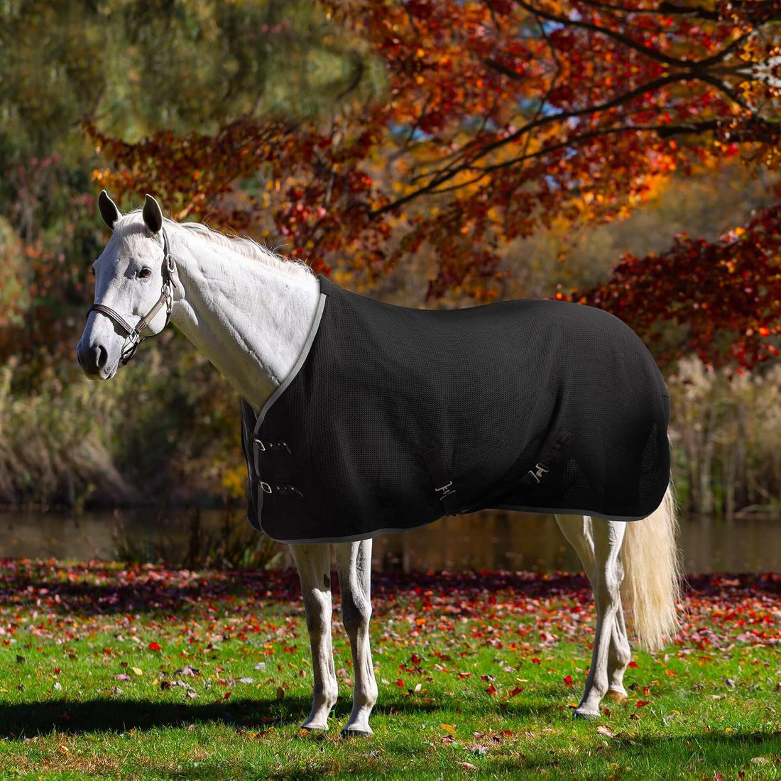 Equinavia Luftig Waffle Horse Cooler Blanket, Cotton, Moisture Wicking