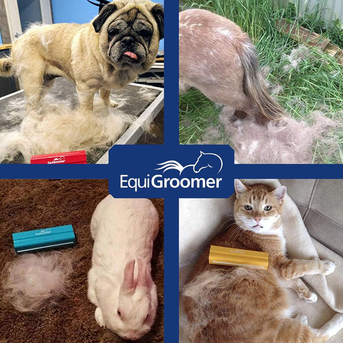 EasyGroomer Deshedding Brush for Dogs & Cats