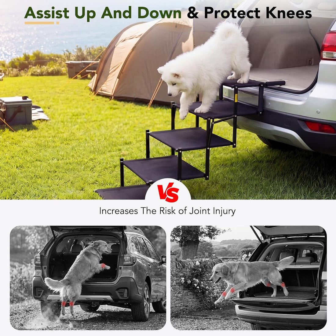 Dog Ramp for Car, Foldable Dog Stairs for Small Dogs