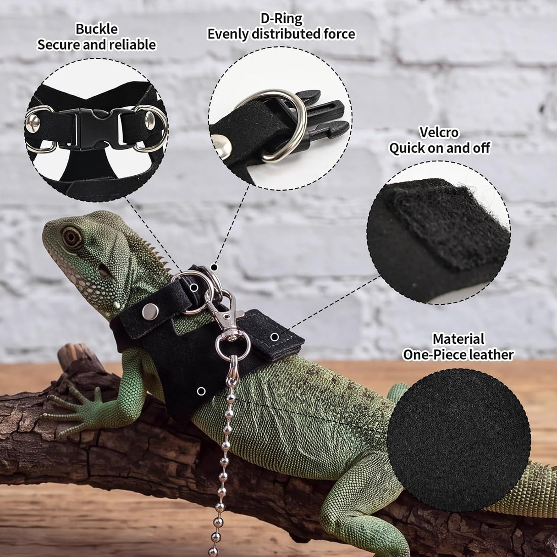 4pcs Bearded Dragon Harness and Leash Set for Small Reptile
