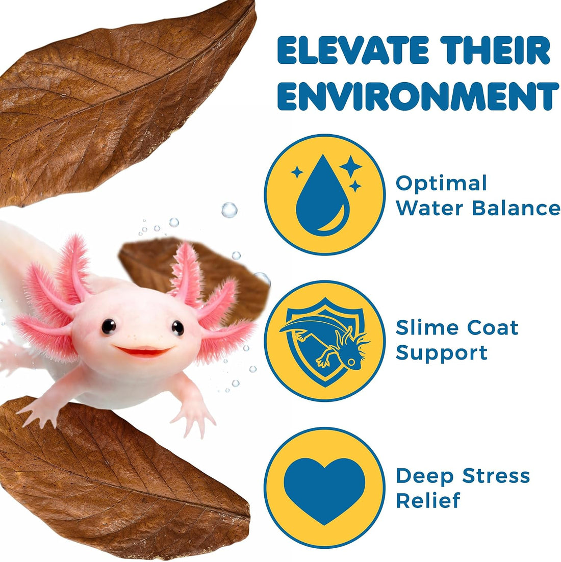 SunGrow 10 Pack Axolotl Indian Almond Leaves for Aquarium, 5-Inches