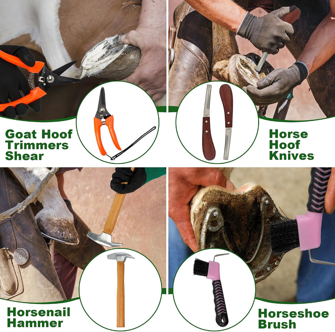 12Pcs Farrier Tools Kit, Hoof Trimming Tools with Tool Bag