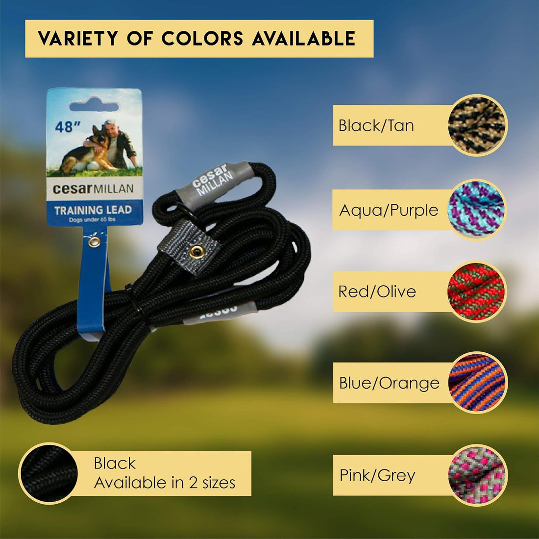 Cesar Millan Slip Lead Leash | Dog Leash | in Training Leash