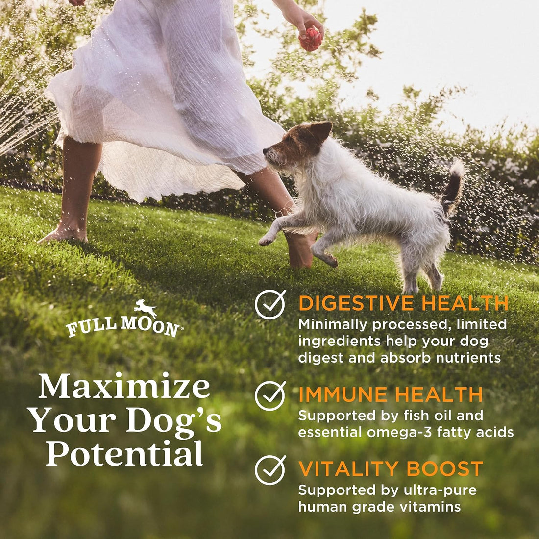 Full Moon Pure Protein Air Dried Dog Food