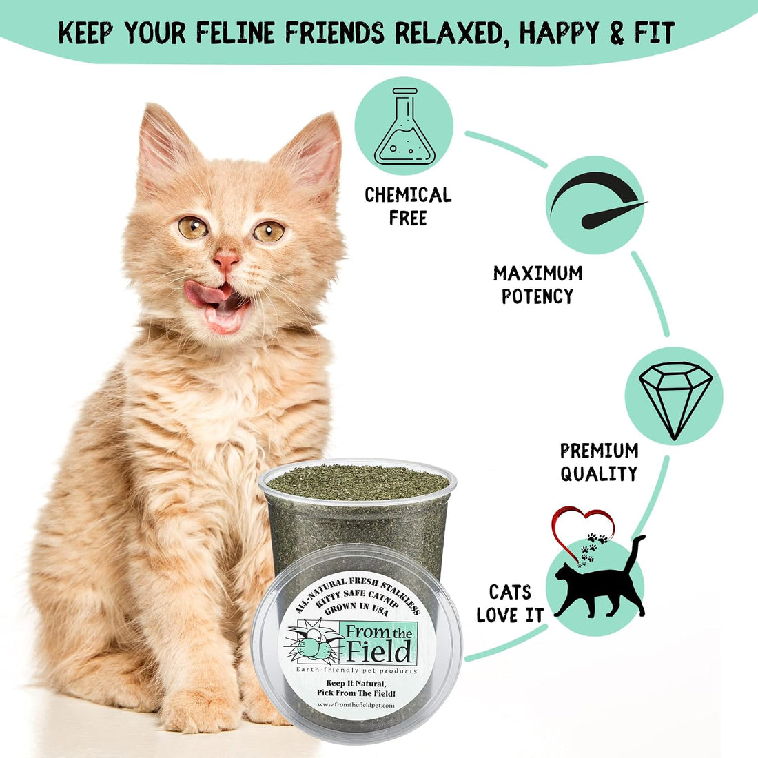 from The Field | Organically Grown Catnip Fine Ground Stalkless