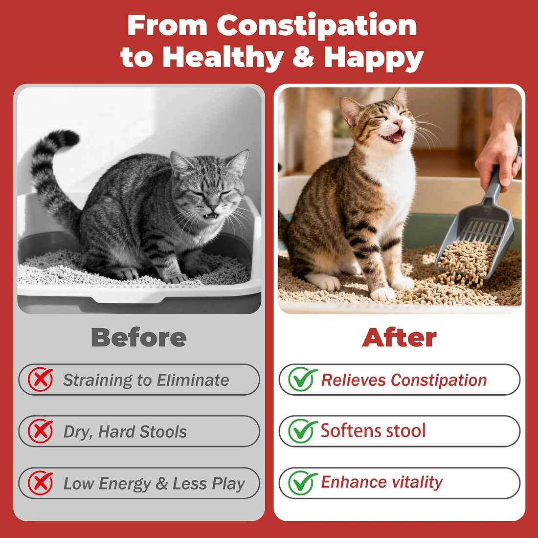 Cat Constipation Stool Softener, Natural and Gentle Formula