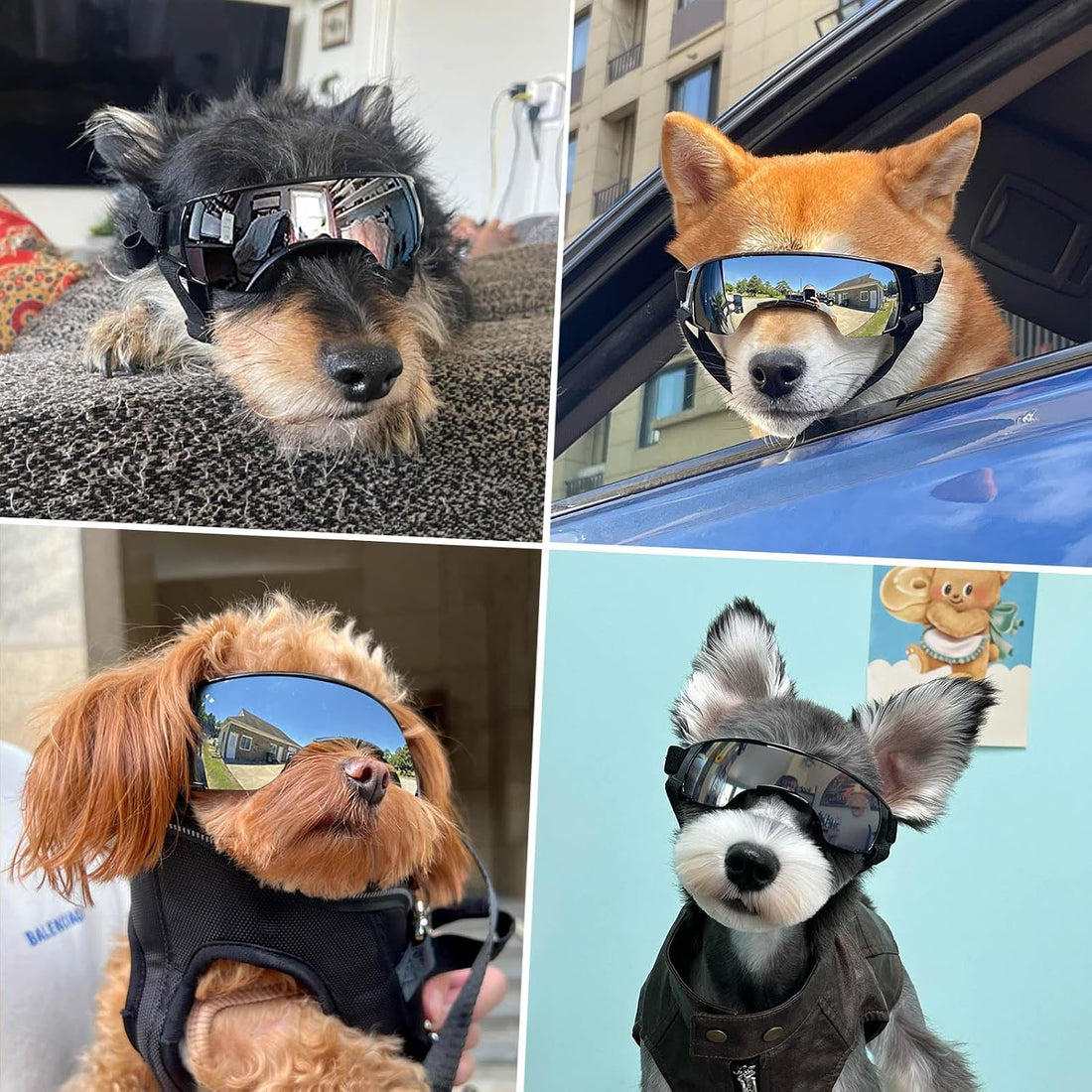 Dog Goggles for Small Dog Doggy Goggles with Adjustable Straps