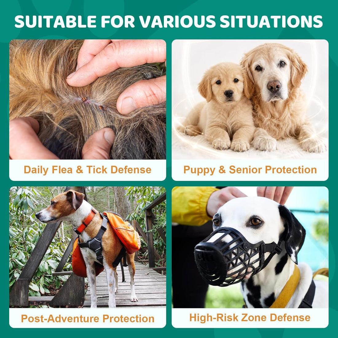 Flea and Tick Chews for Dogs, Natural Coat Care Nutritional Supplement