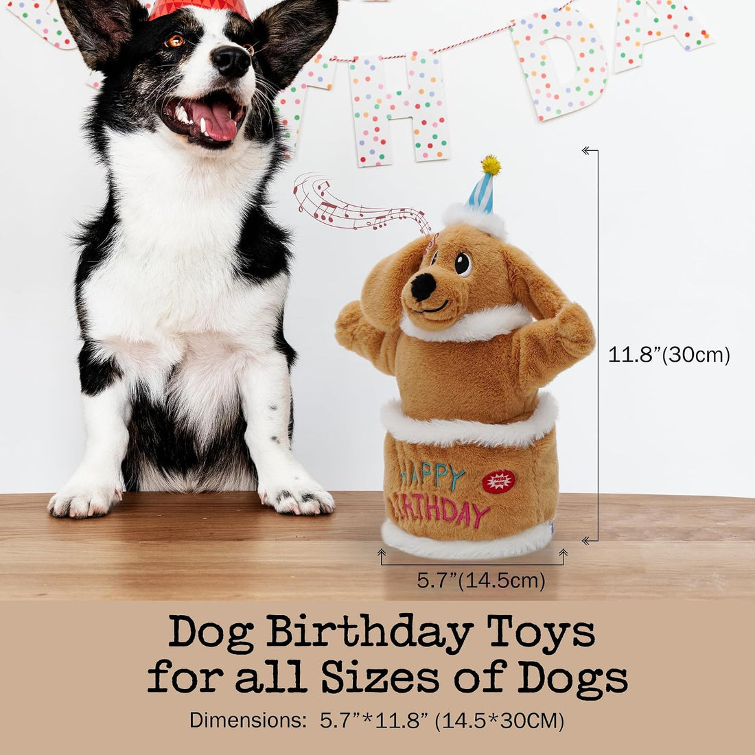 Fuzzwoof Dog Birthday Cake, Interactive Singing & Dancing Dog