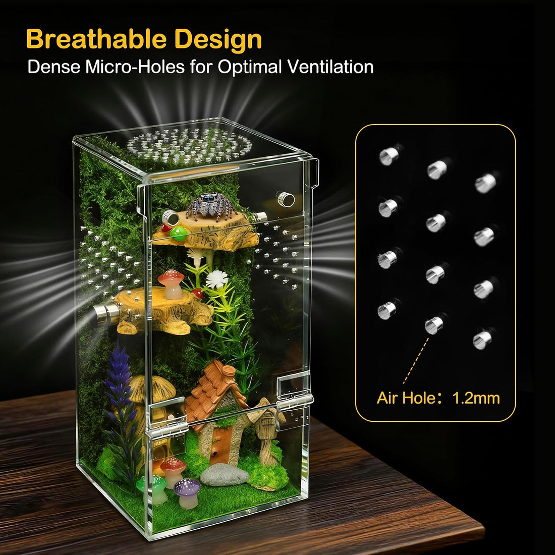 Jumping Spider Enclosure Starter Kit,3 x 3 x 6 in Acrylic Terrarium