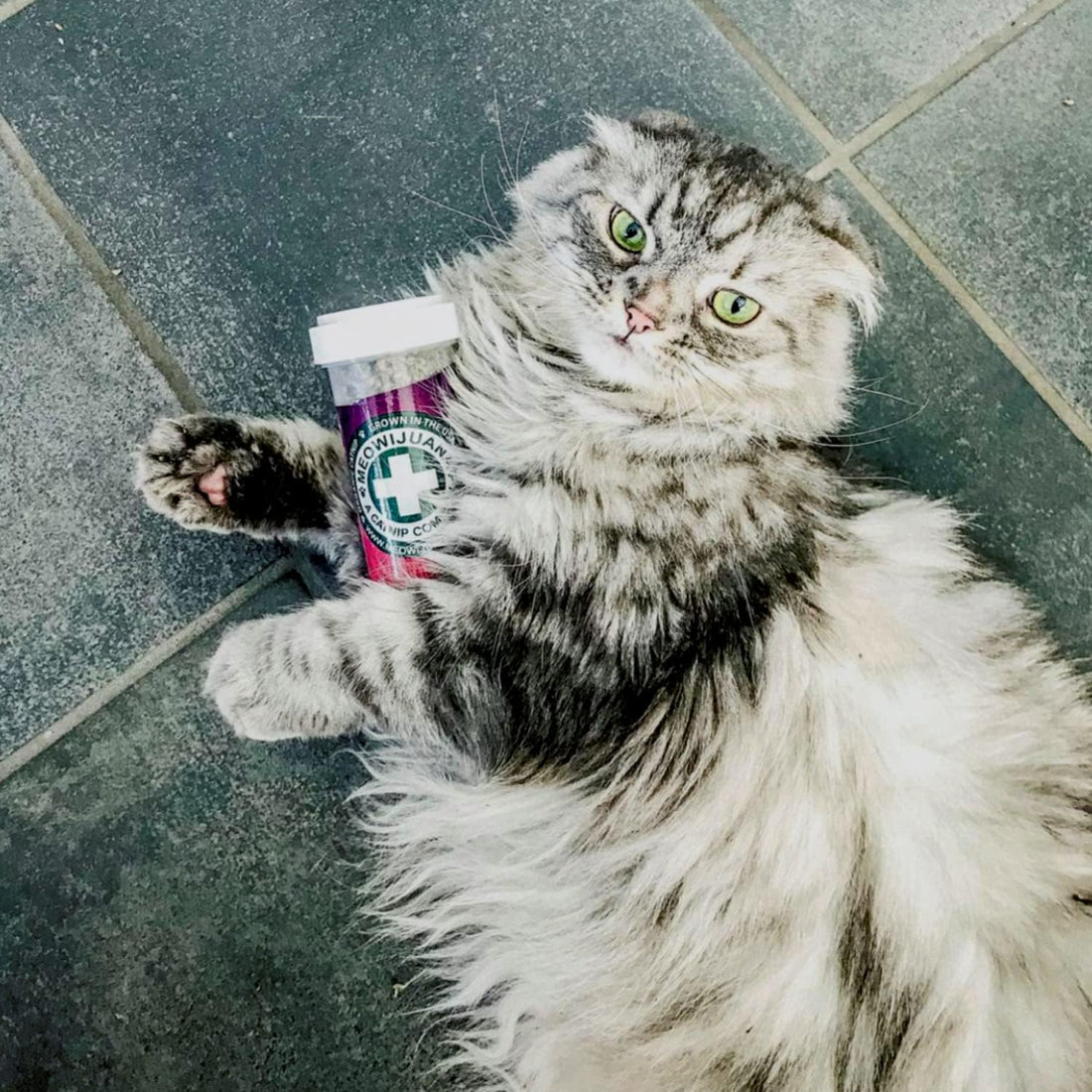 Meowijuana | Catnip Bundles | Organic | High Potency Cat Treats