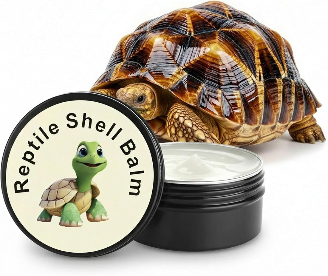 Tortoise Oinment Shell Conditioner Cream