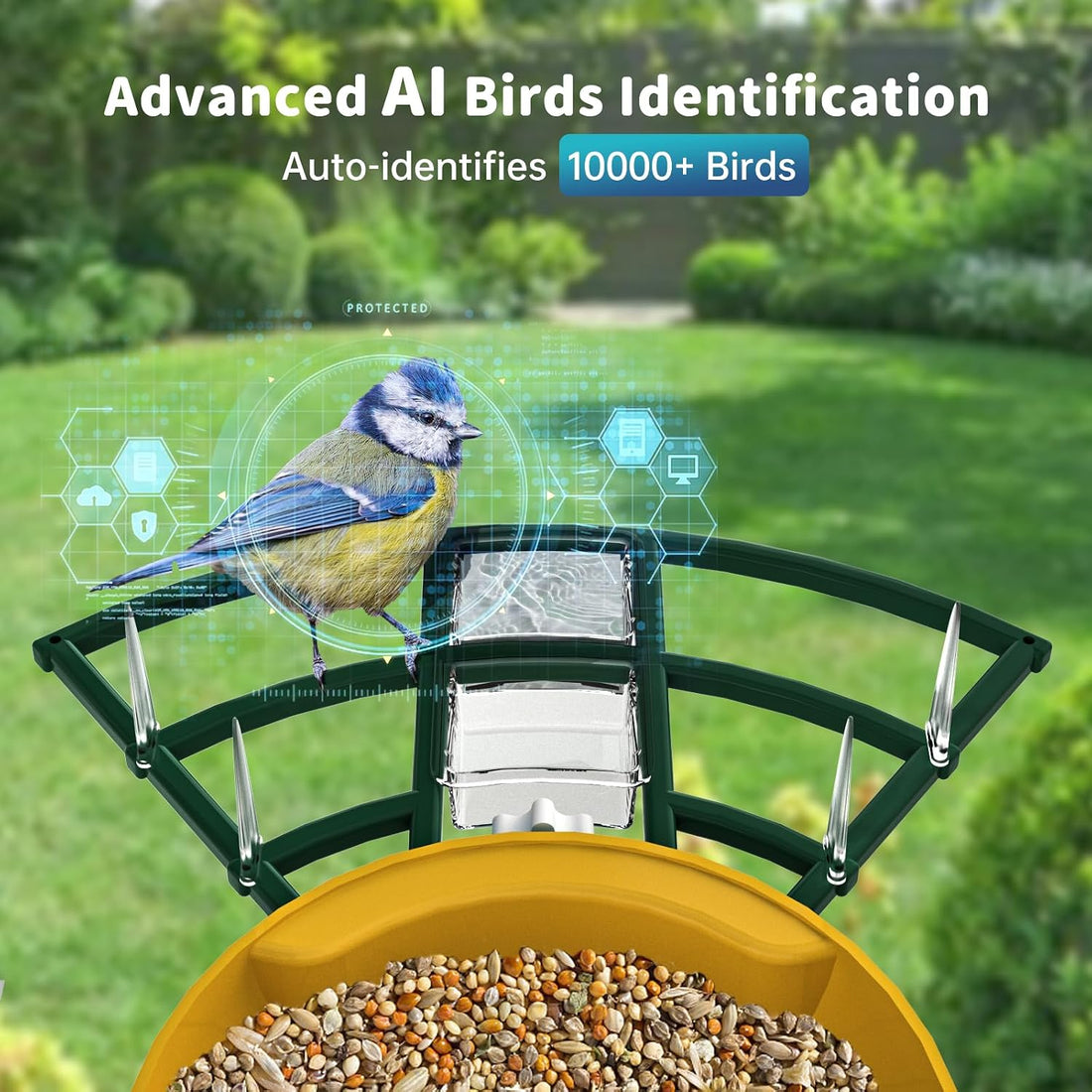 NAVFS Smart Bird Feeder with Camera Solar Powered & AI Bi rd