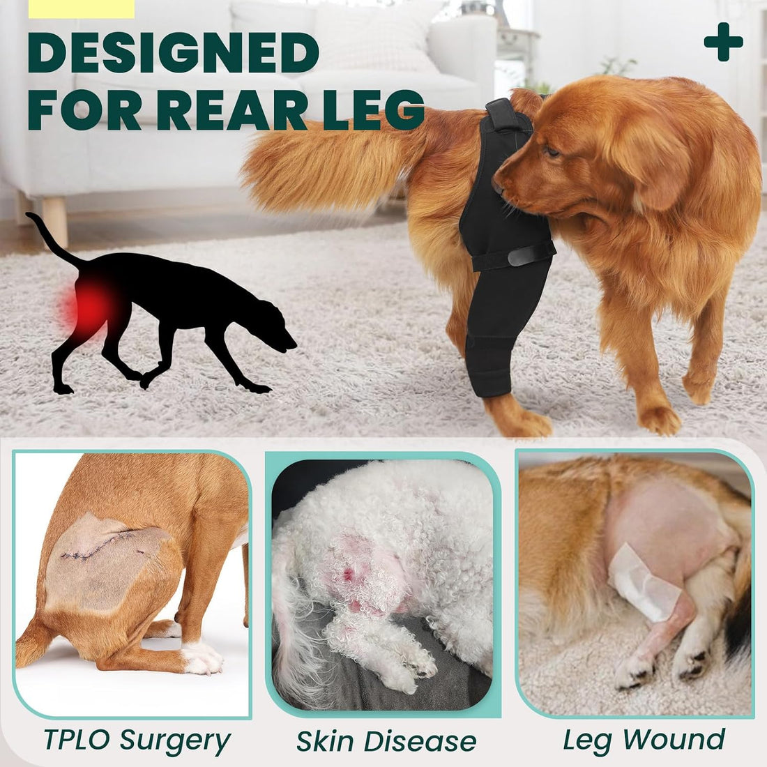 Dog Rear Leg Sleeve to Stop Licking