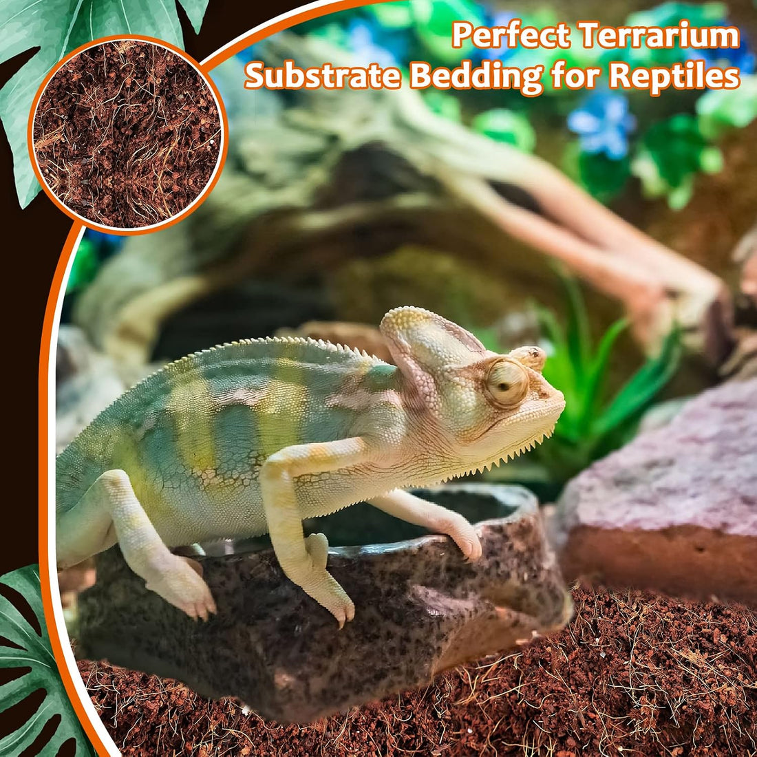 Riare 2 Pack Natural Coconut Fiber Substrate