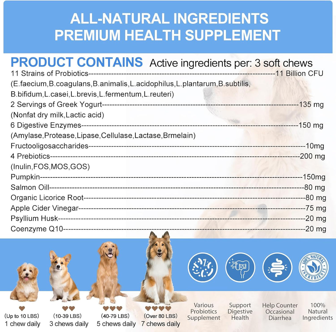 Probiotics for Dogs Gut Digestive Health Probiotic Chews for Dogs