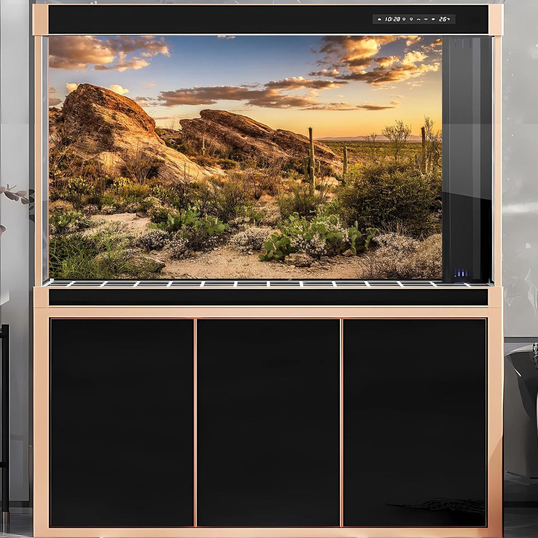 Desert Mountain Reptile Tank Background Sunset Rock Mountain Gobi
