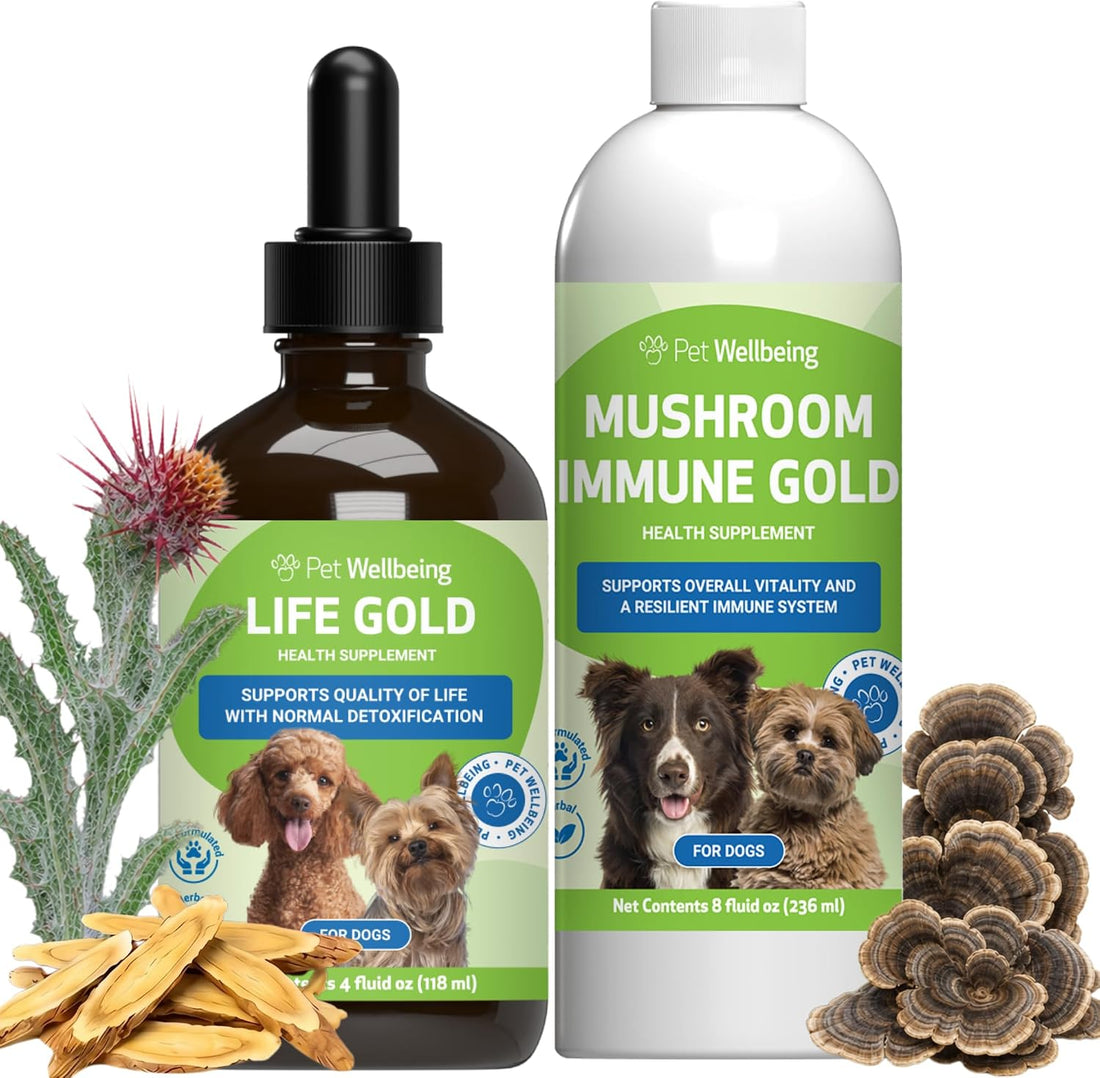Pet Wellbeing More Mushrooms Value Size for Dogs
