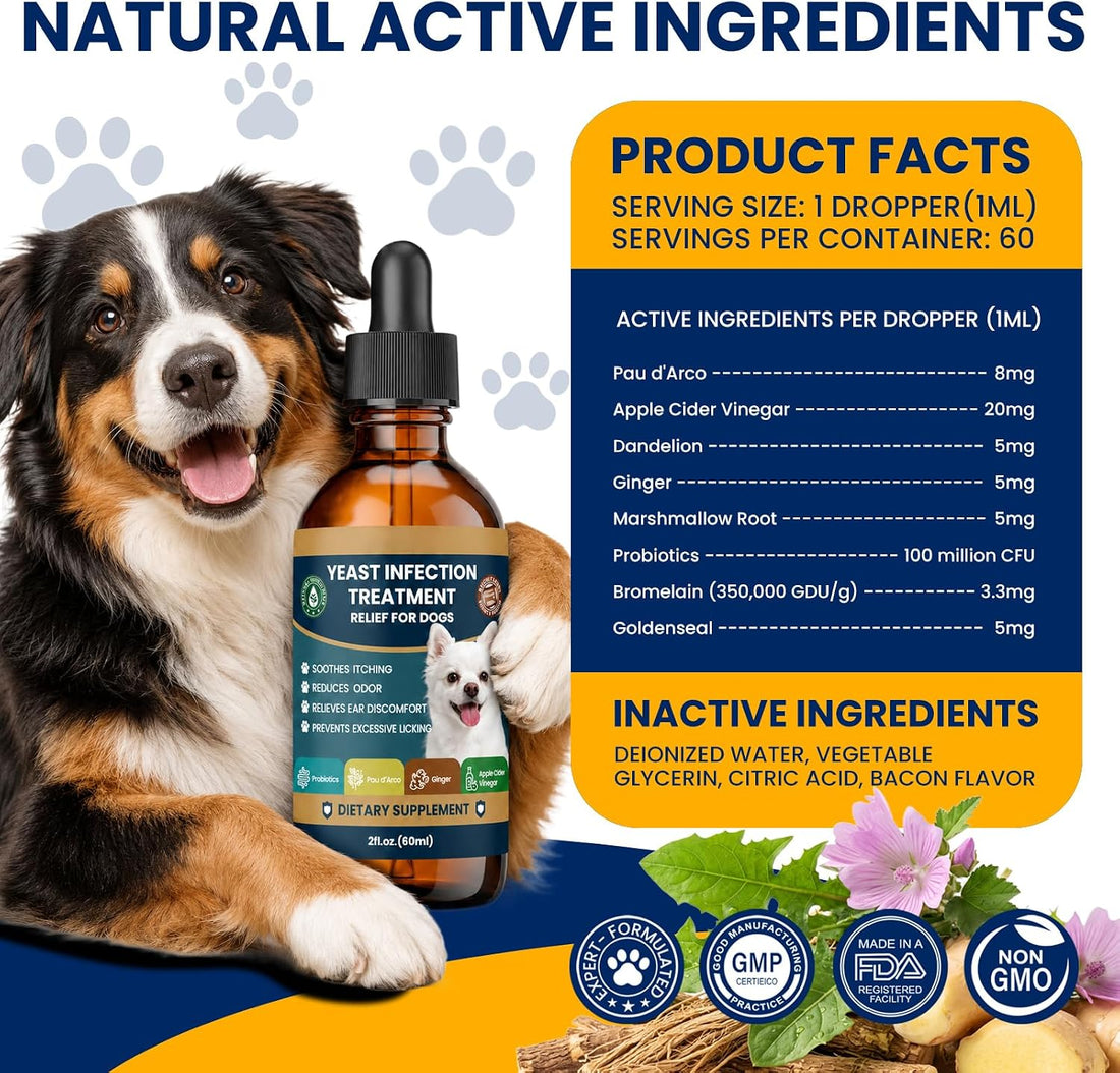 Natural Yeast Infection Treatment for Dogs
