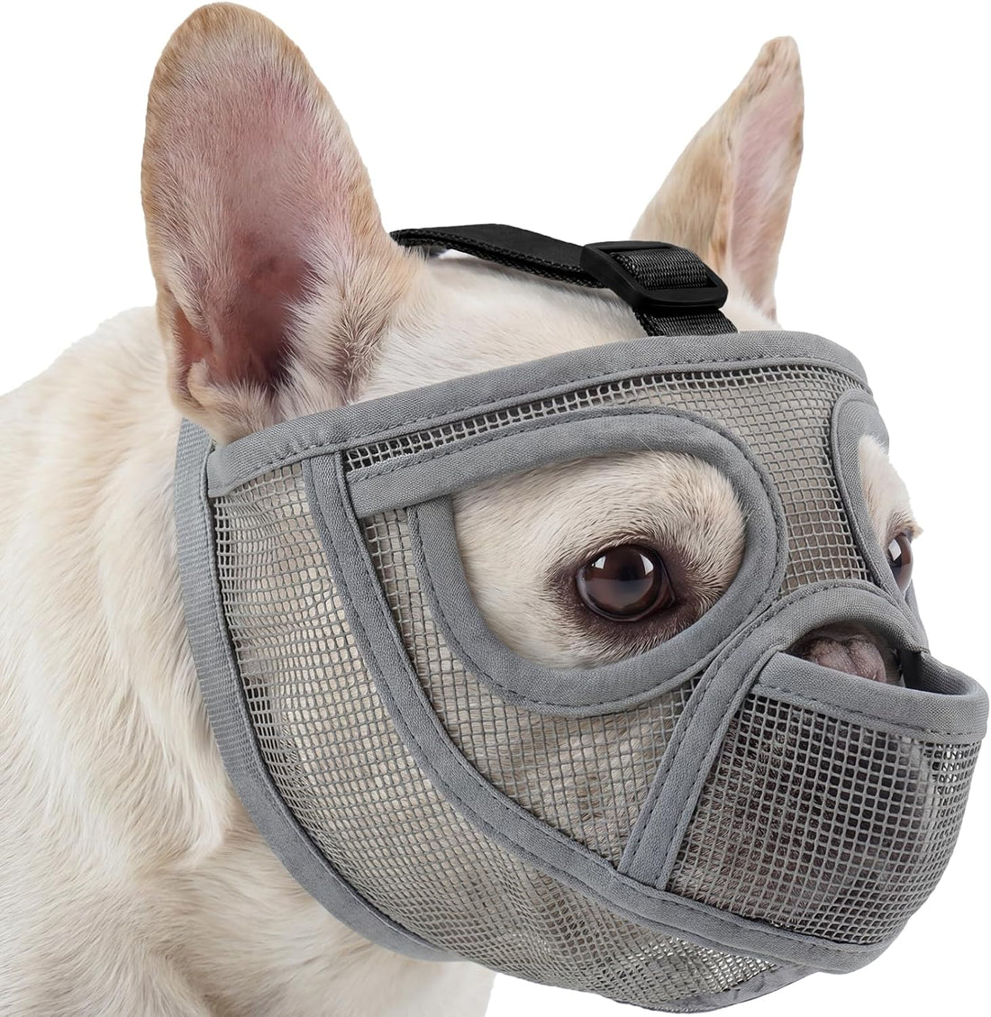 Pezluxe Short Snout Dog Muzzle