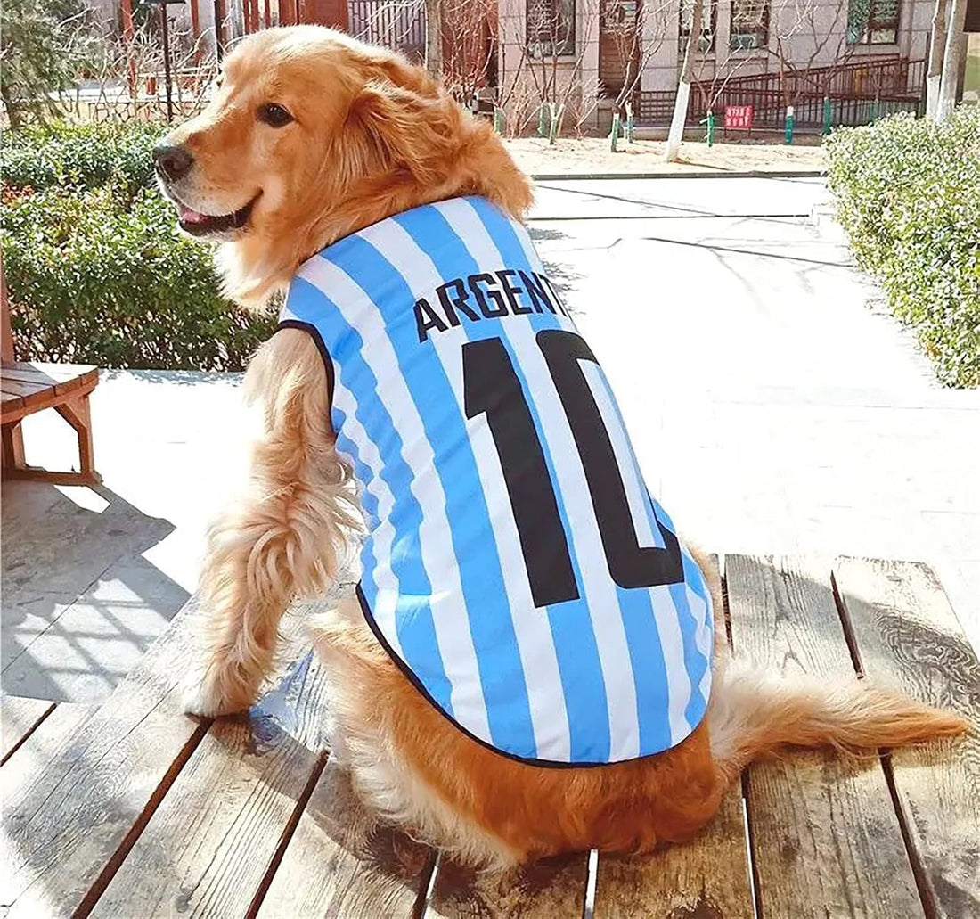 GabeFish Dog World Cup T Shirt Pets Football Jersey Sports Soccer