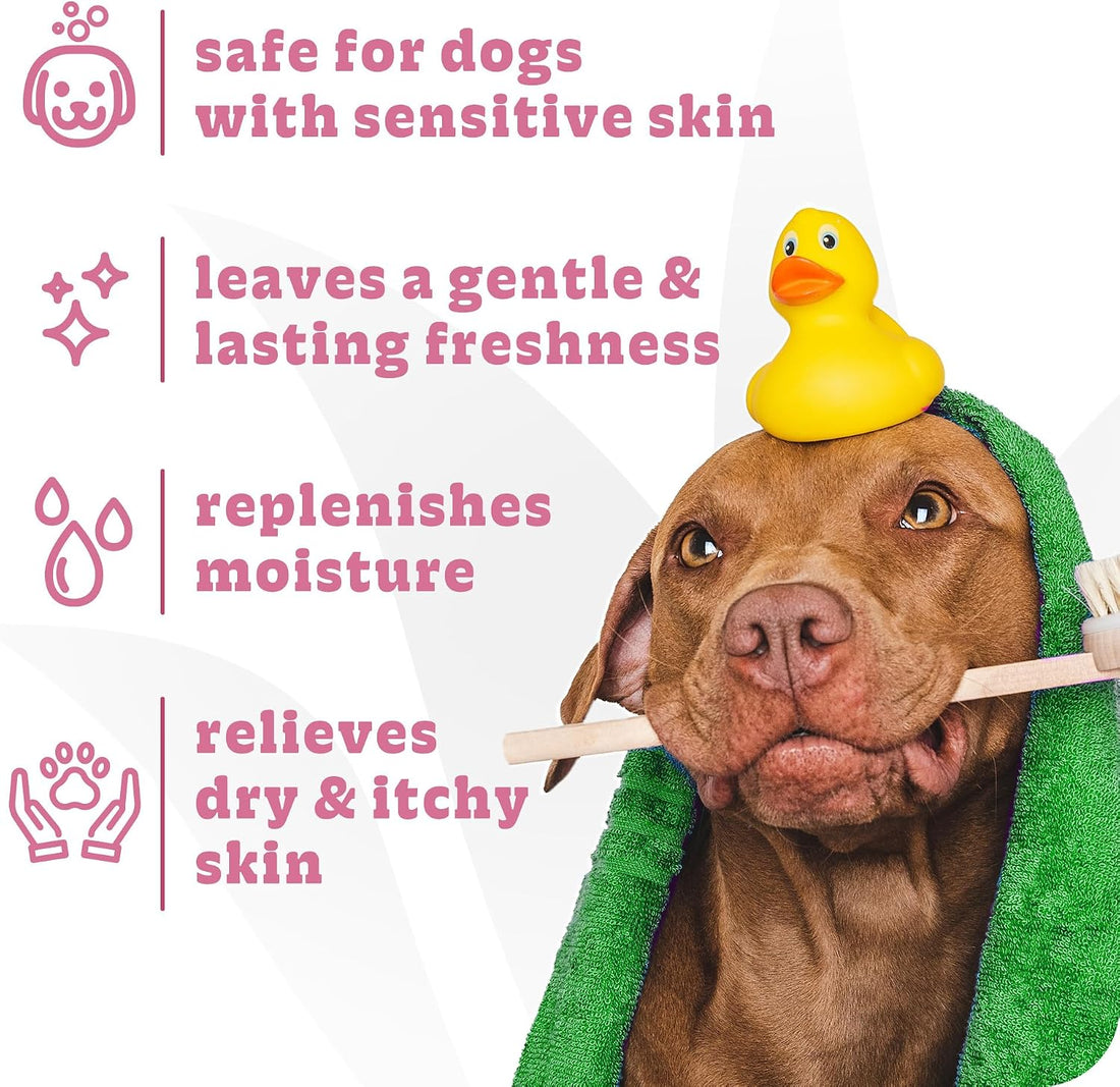 Espree Simple Soothe Dog Shampoo & Conditioner, Dog Grooming, 20 oz