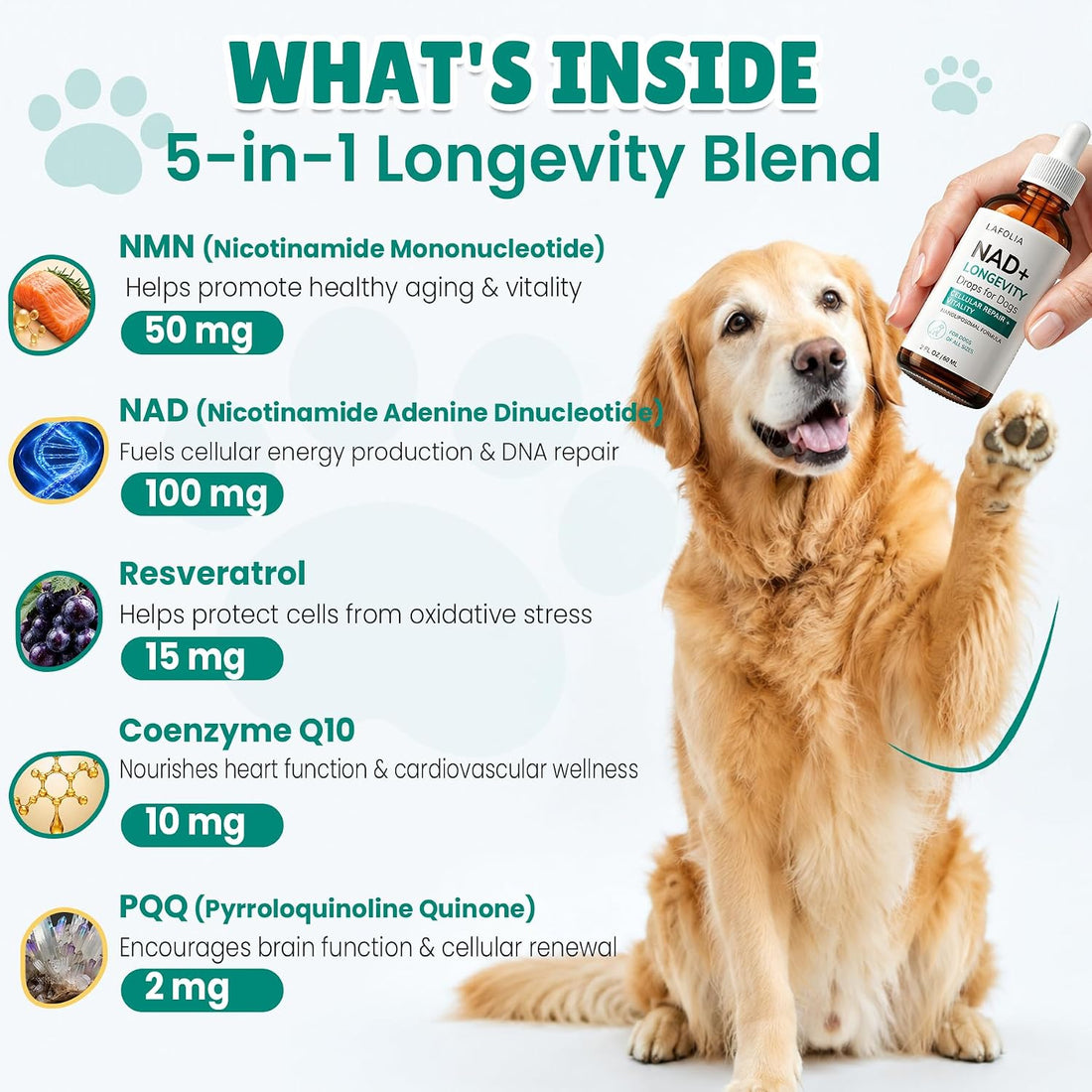 NAD+ Drops for Dogs, Dog Longevity Supplement with NMN & Resveratrol