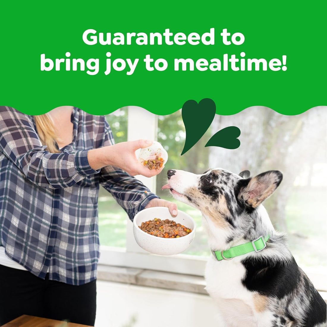 Greenies Smart Topper Wet Dog Food Complement, Beef, 2 oz, 10 ct