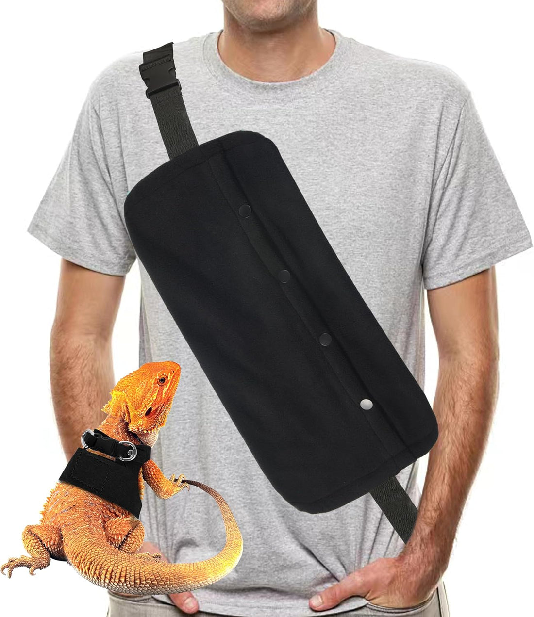 Bearded Dragon Leash and Harness Set, Beardie Carrier