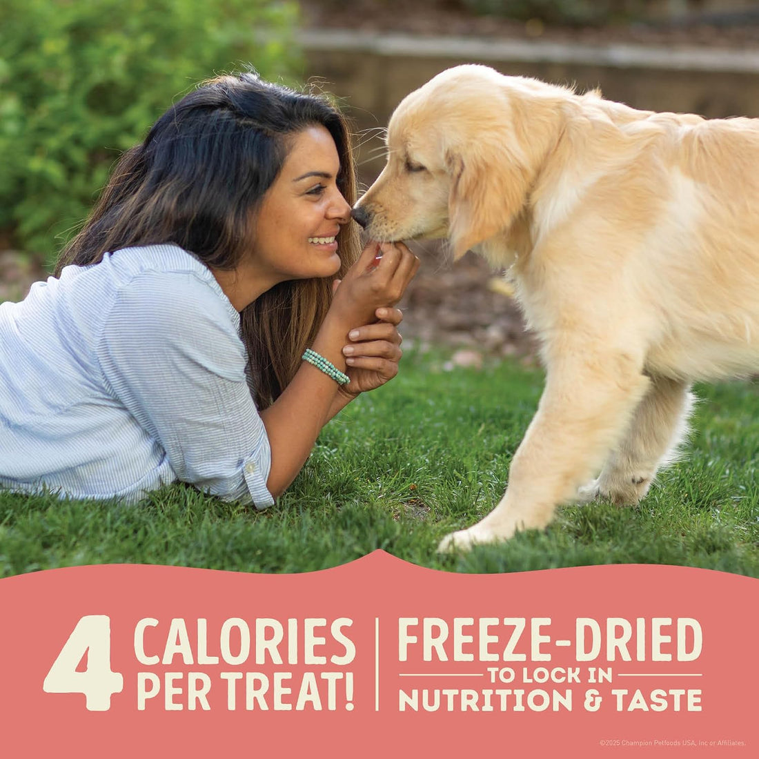 ACANA Singles Grain Free Dog Treats Limited Ingredients