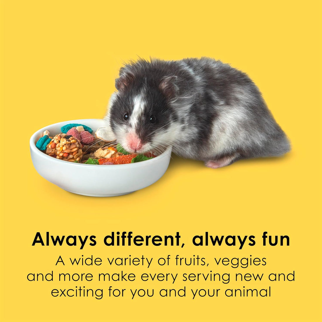 Kaytee Fiesta Hamster & Gerbil Food, Nutritious and Fun Blend
