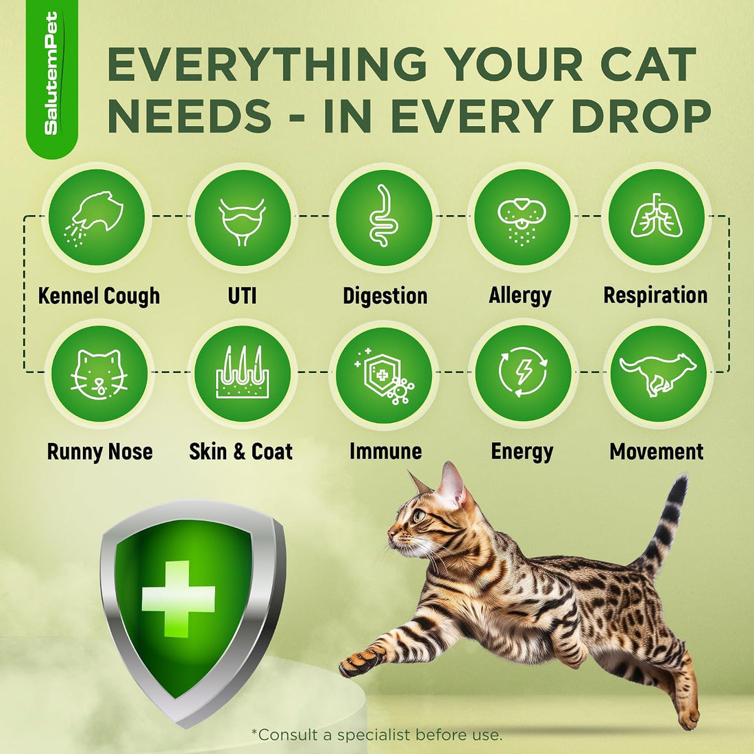 Cat Antibiotic for Infections, UTIs, Respiratory Moments, Cold
