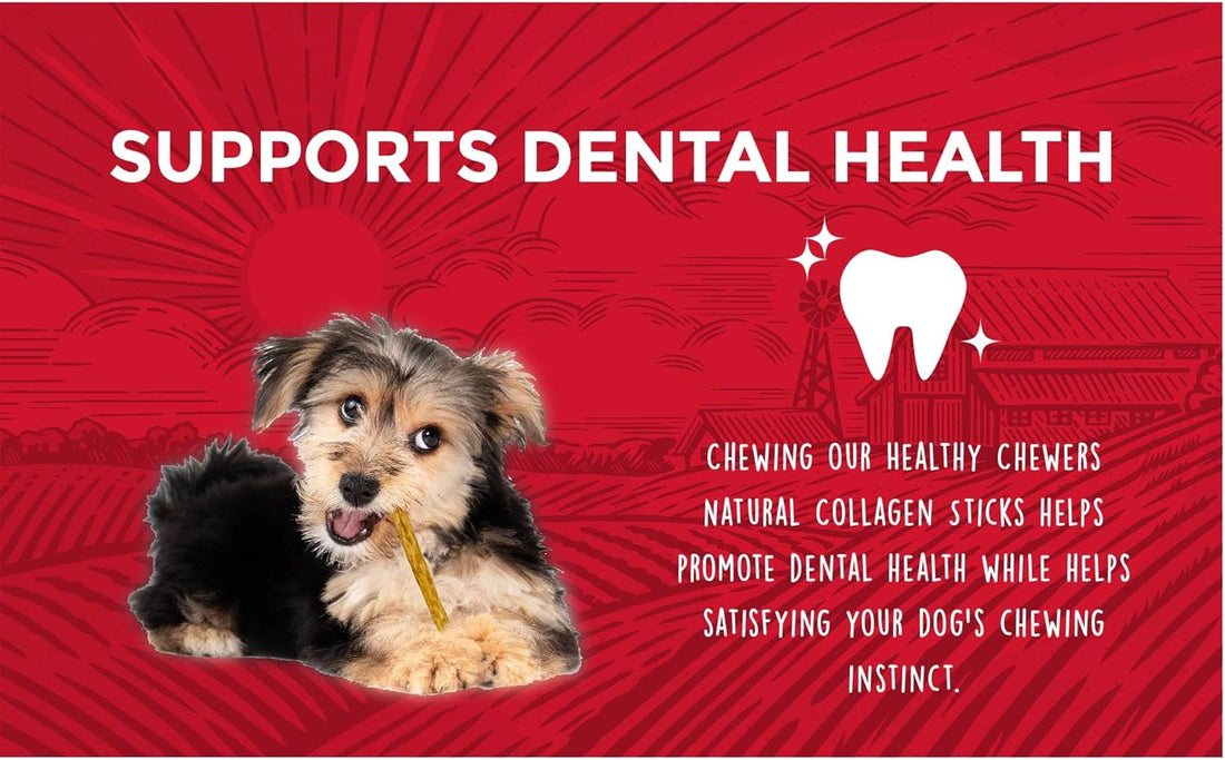 Rewardables, Healthy Chewers