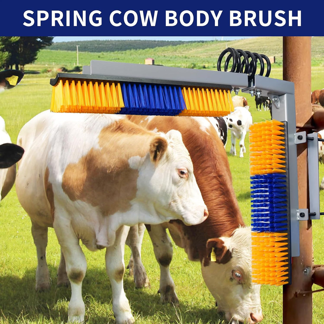 Livestock Scratch Brush With Spring Iron Holder,Animal Back