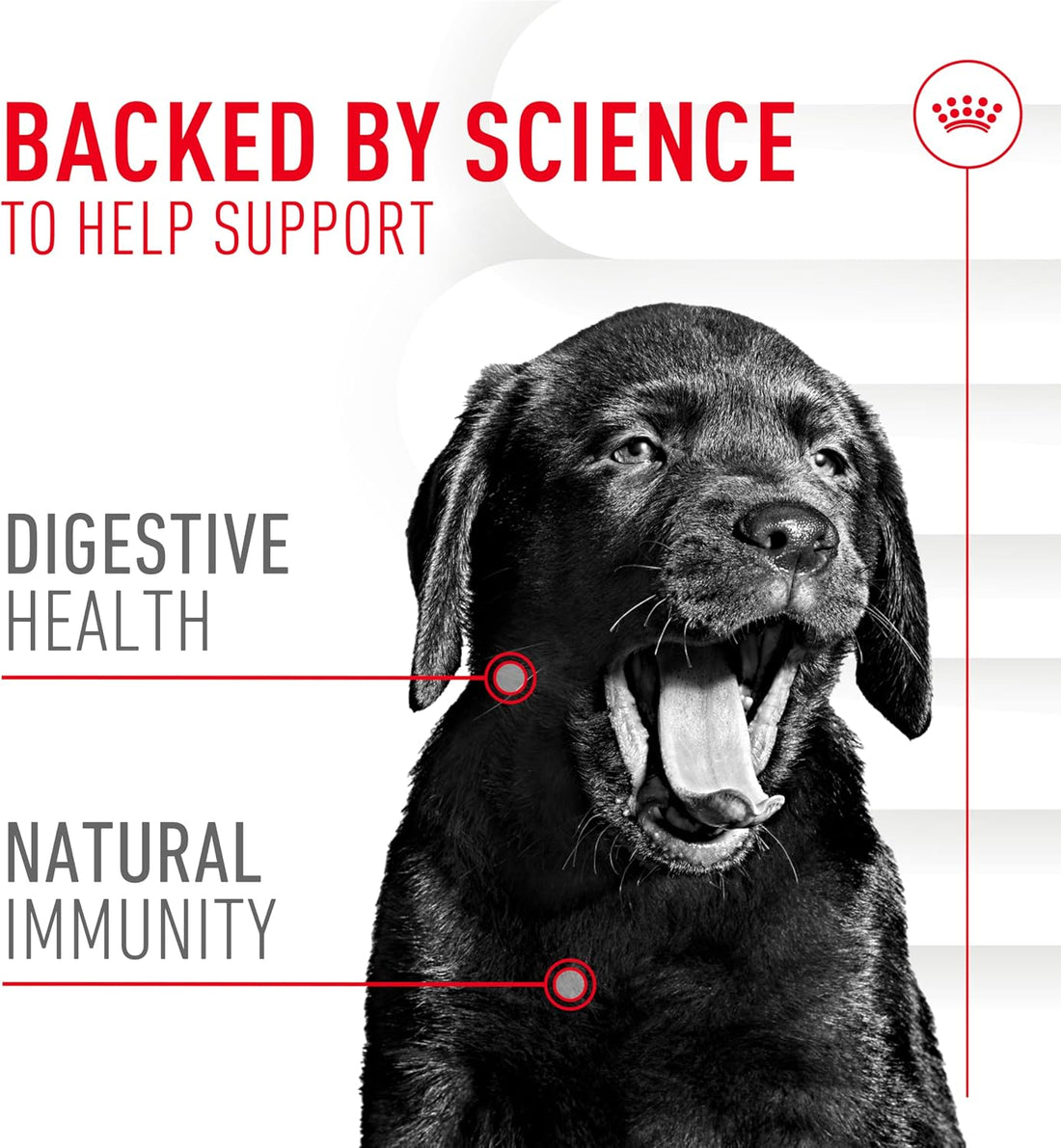 Royal Canin Puppy Supplement Soft Chews for Immunity & Digestion