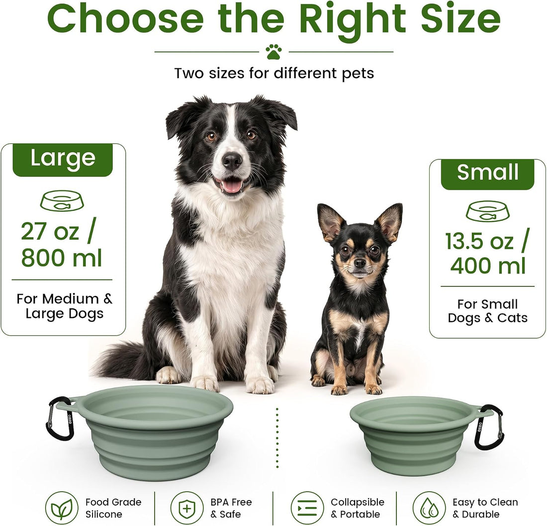 OHMO Collapsible Dog Bowl Premium Silicone Pet Water Bowls for Cats