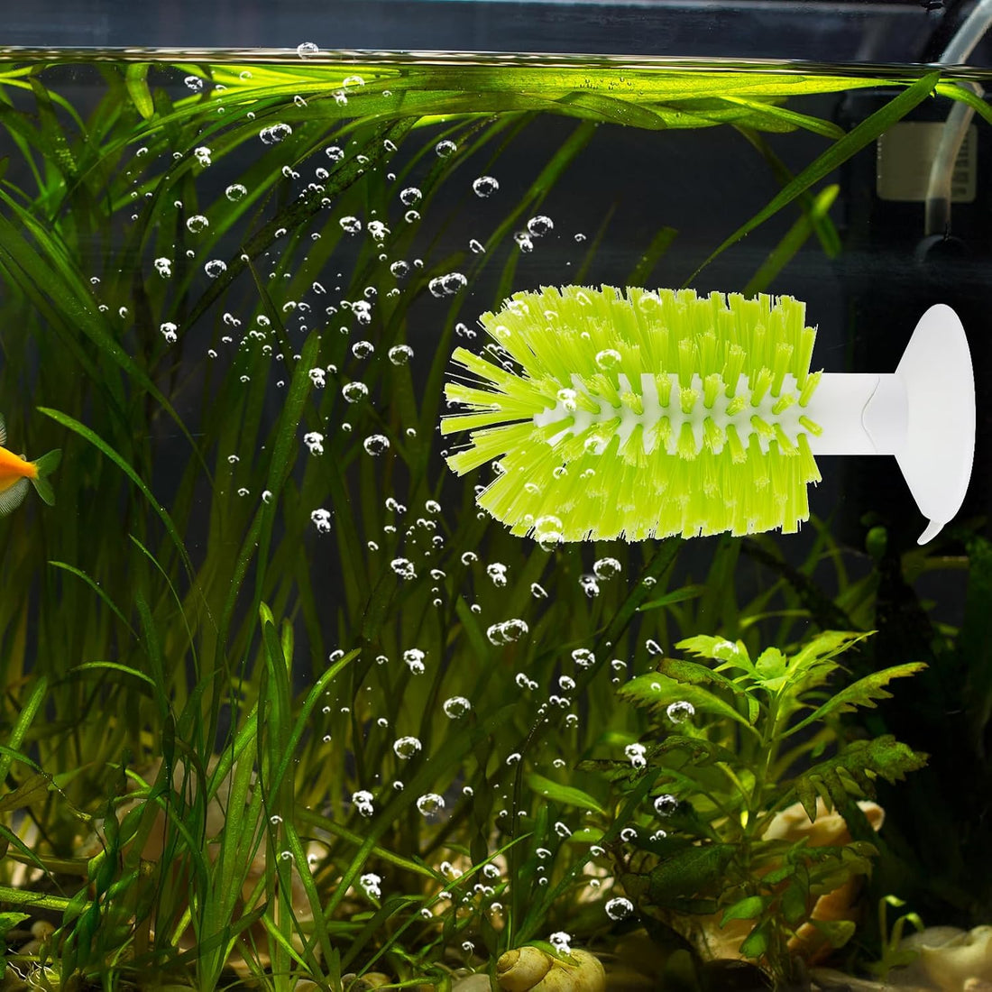 2pcs Turtle Brush, Turtle Shell Brush with Suction Cup