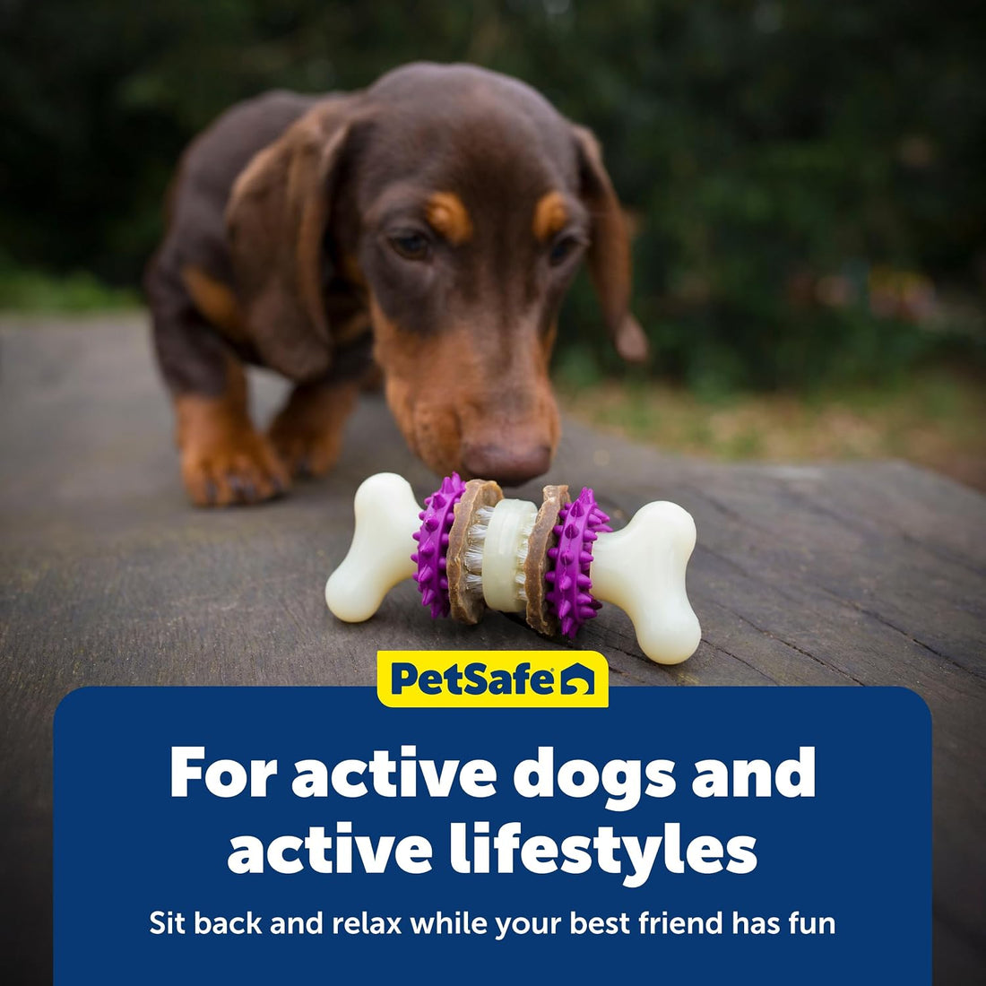 PetSafe Busy Buddy Bristle Bone Dog Chew Toy
