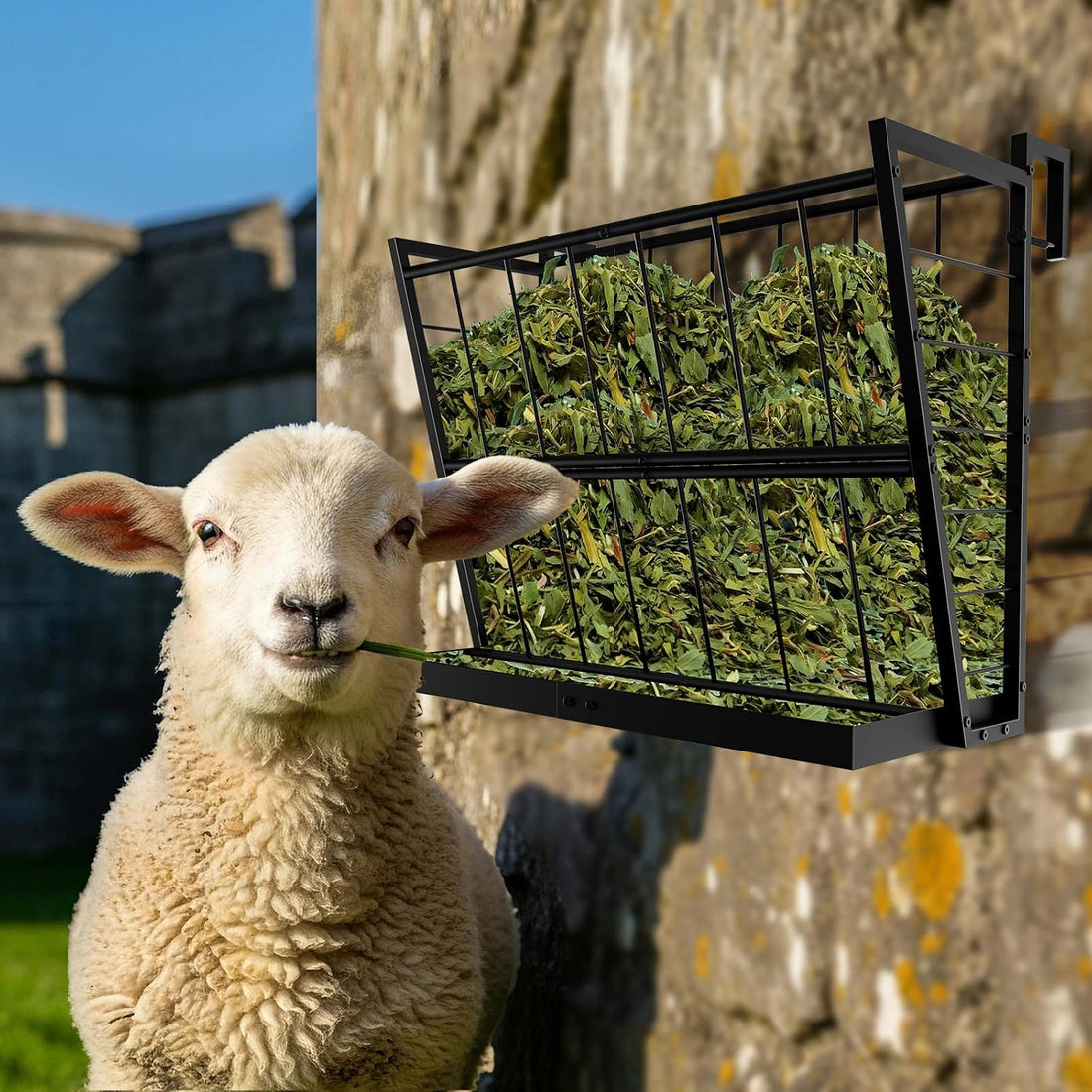 2-in-1 Wall Mount Hay Feeder, Black Grain Rack for Goats, Horses