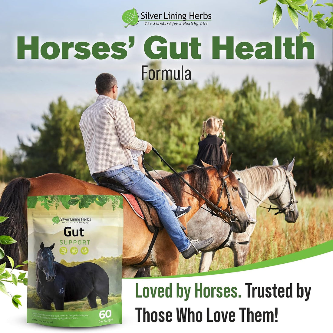 Silver Lining Herbs Gut Support Supplement for Horses - 1 lb