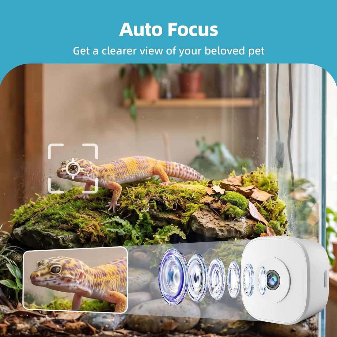 3MP 2K Aquarium Camera for Fish Tank, Reptile & Terrarium Camera