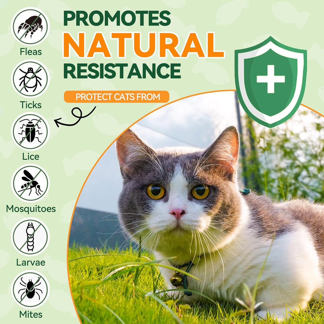 Flea and Tick Treatment for Cats