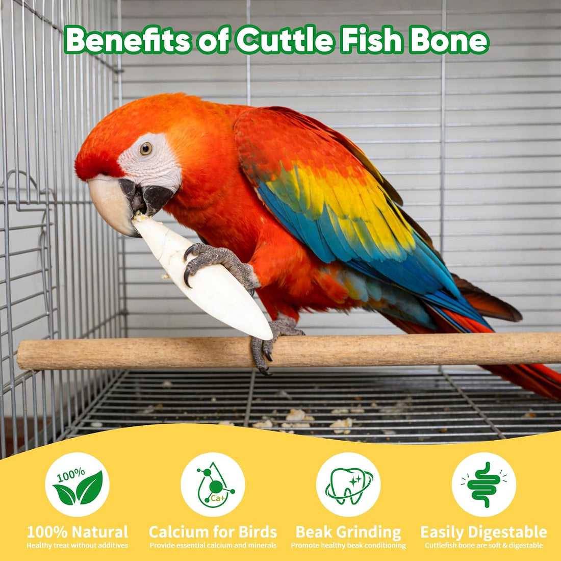 Amzey 12 Pack Cuttlebone for Birds