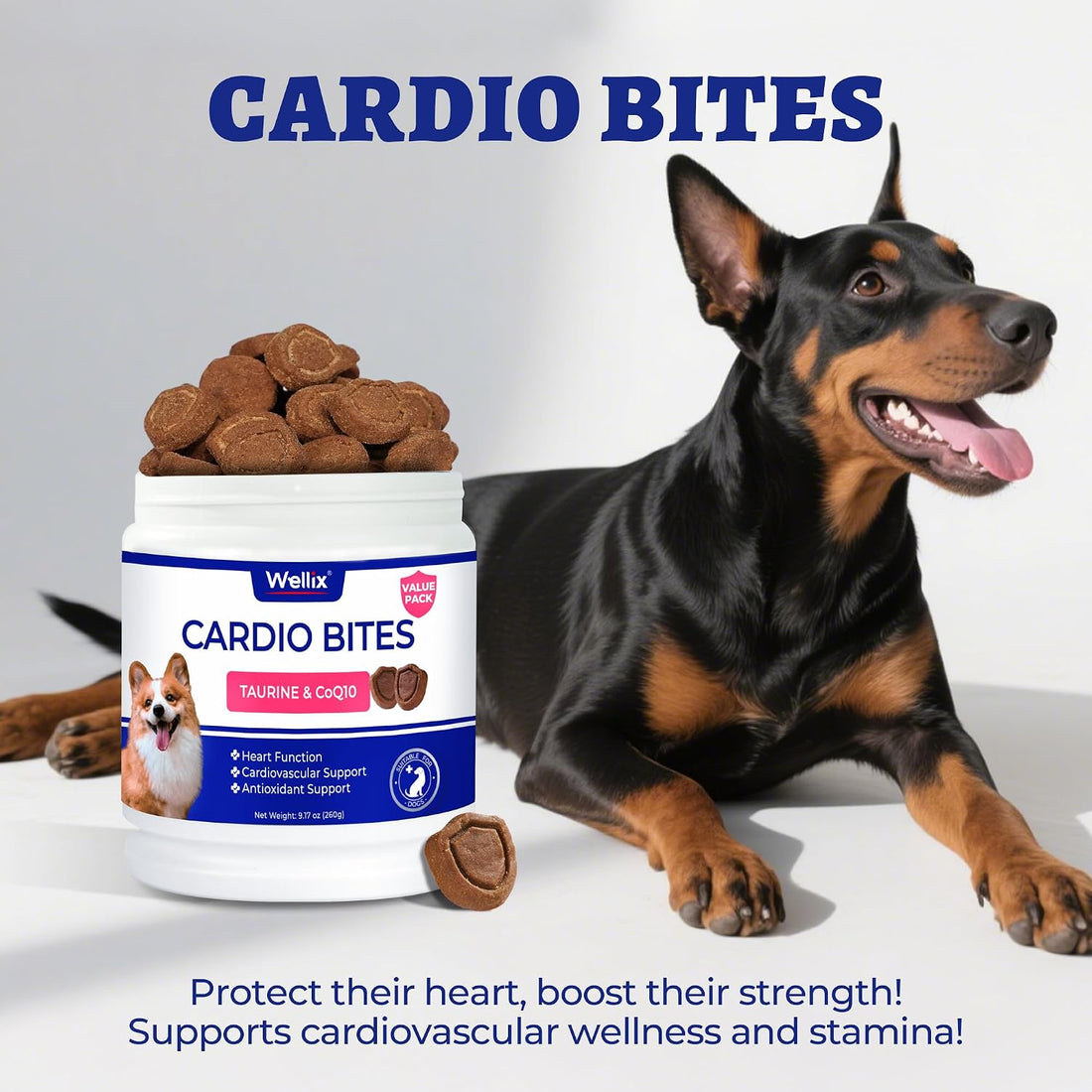 Wellix 260g Cardio Taurine for Dogs